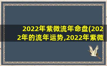 2022年紫微流年命盘(2022年的流年运势,2022年紫微流年命盘)