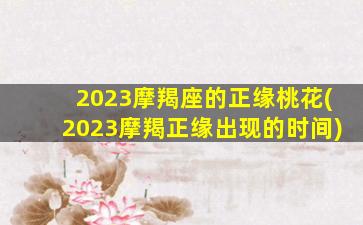 2023摩羯座的正缘桃花(2023摩羯正缘出现的时间)