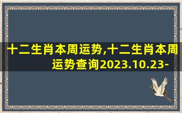 十二生肖本周运势,十二生肖本周运势查询2023.10.23-10.29